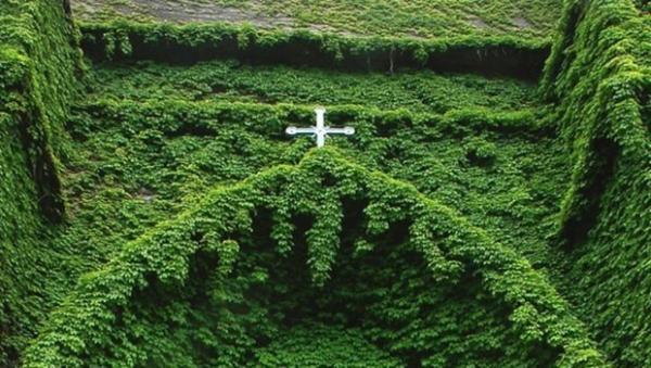 Laudato Si’: Sinh Thái Toàn Diện Muốn Nói Gì ?